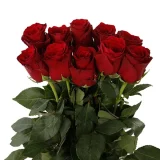 explorer-red-60cm-2_600x600